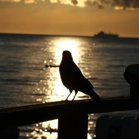 アパート Maris Nr 48 Og Mit Balkon Und Meerblick シャルボイツ